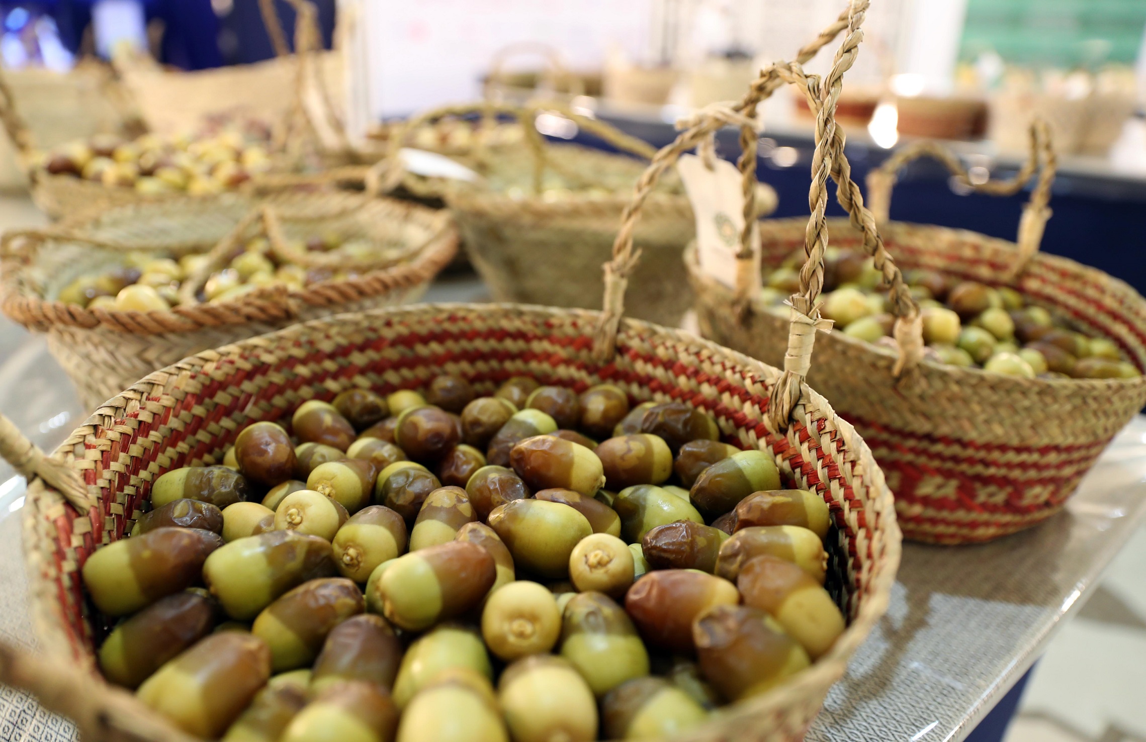 لجان تحكيم مهرجان ليوا للرطب 16 تزور المزارع المشاركة في مسابقة المزرعة النموذجية