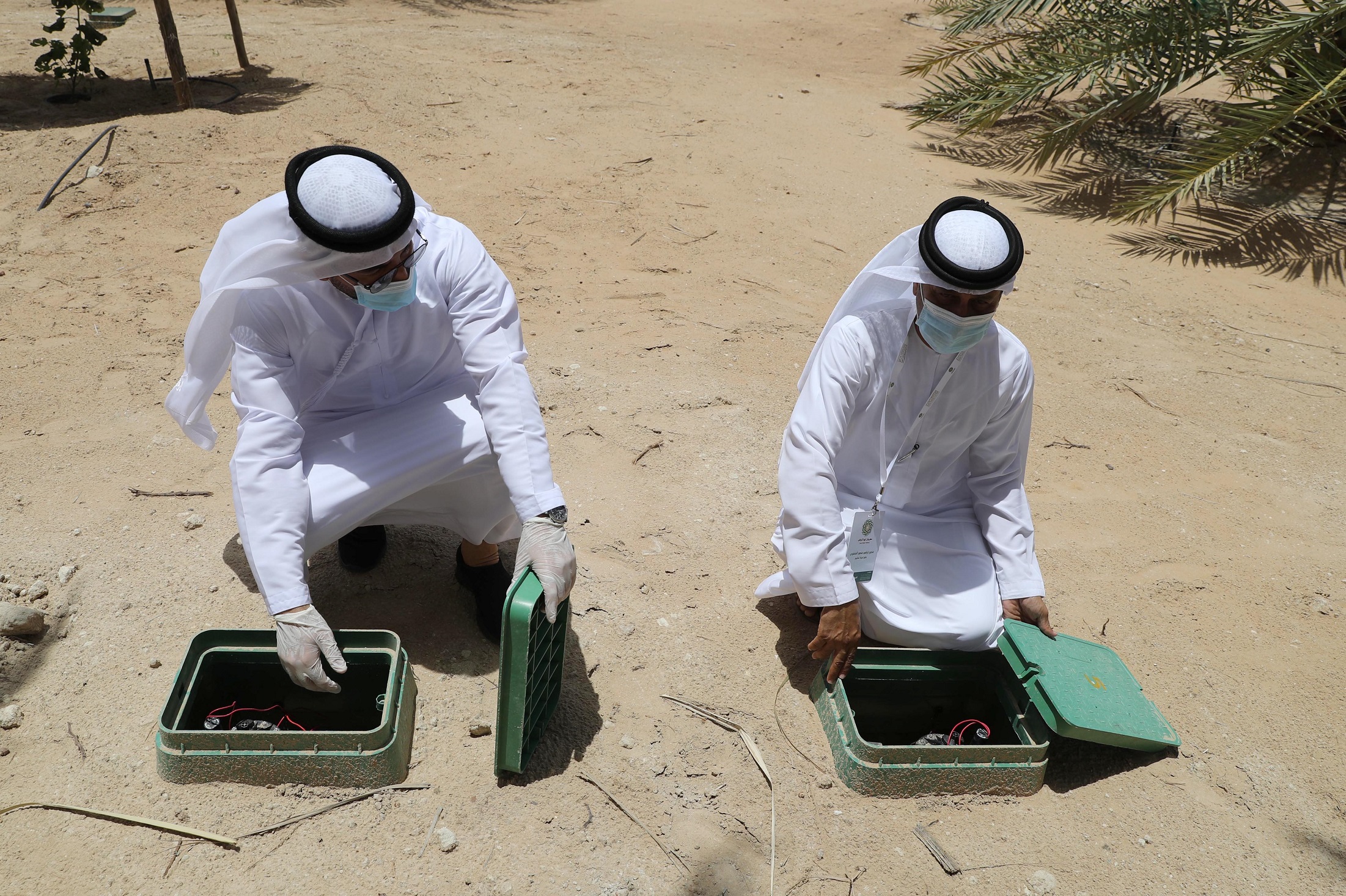 لجان تحكيم مهرجان ليوا للرطب 16 تزور المزارع المشاركة في مسابقة المزرعة النموذجية