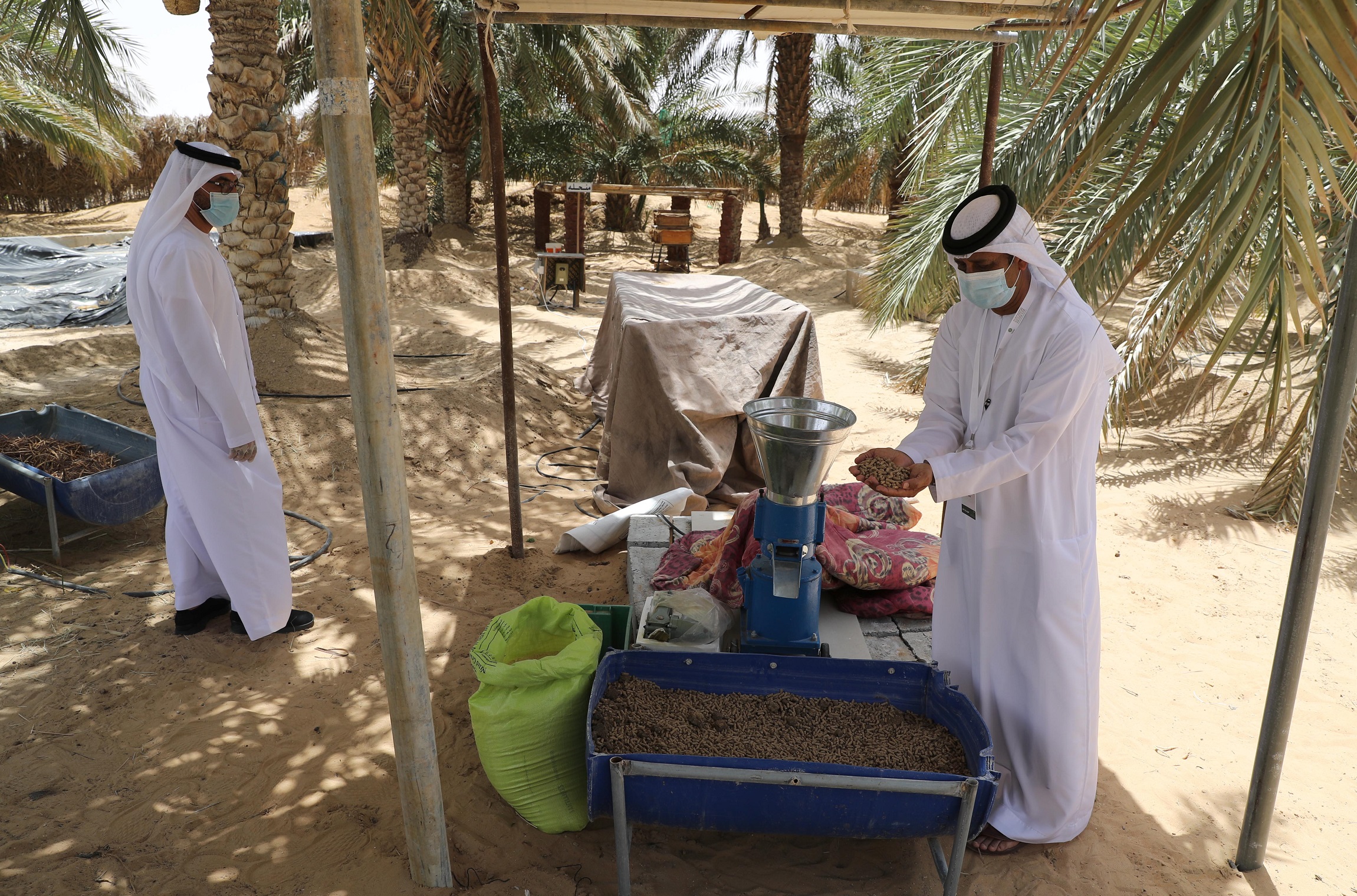 لجان تحكيم مهرجان ليوا للرطب 16 تزور المزارع المشاركة في مسابقة المزرعة النموذجية