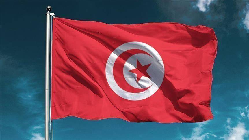 الرئيس التونسي يكلف وزير الداخلية هشام المشيشي بتشكيل الحكومة الجديدة