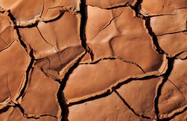 فيوليا الشرق الأوسط تقدم مجموعة من النصائح للمساهمة في الحفاظ على الموارد الطبيعية وحماية كوكب الأرض