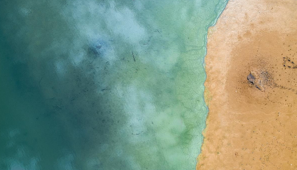 فيوليا الشرق الأوسط تقدم مجموعة من النصائح للمساهمة في الحفاظ على الموارد الطبيعية وحماية كوكب الأرض