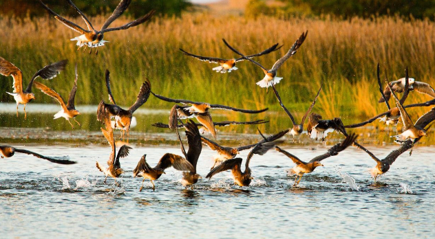 فيوليا الشرق الأوسط تقدم مجموعة من النصائح للمساهمة في الحفاظ على الموارد الطبيعية وحماية كوكب الأرض