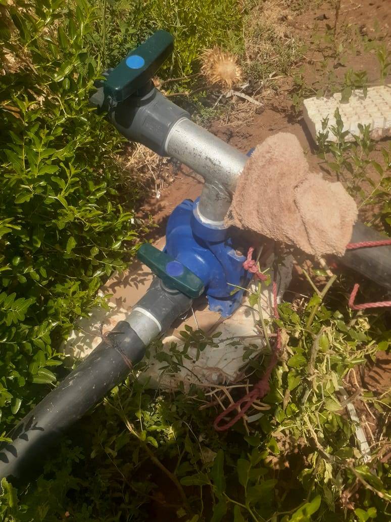 وزارة المياه والري : ضبط مزارع تسرق حصص المواطنين في عين الباشا