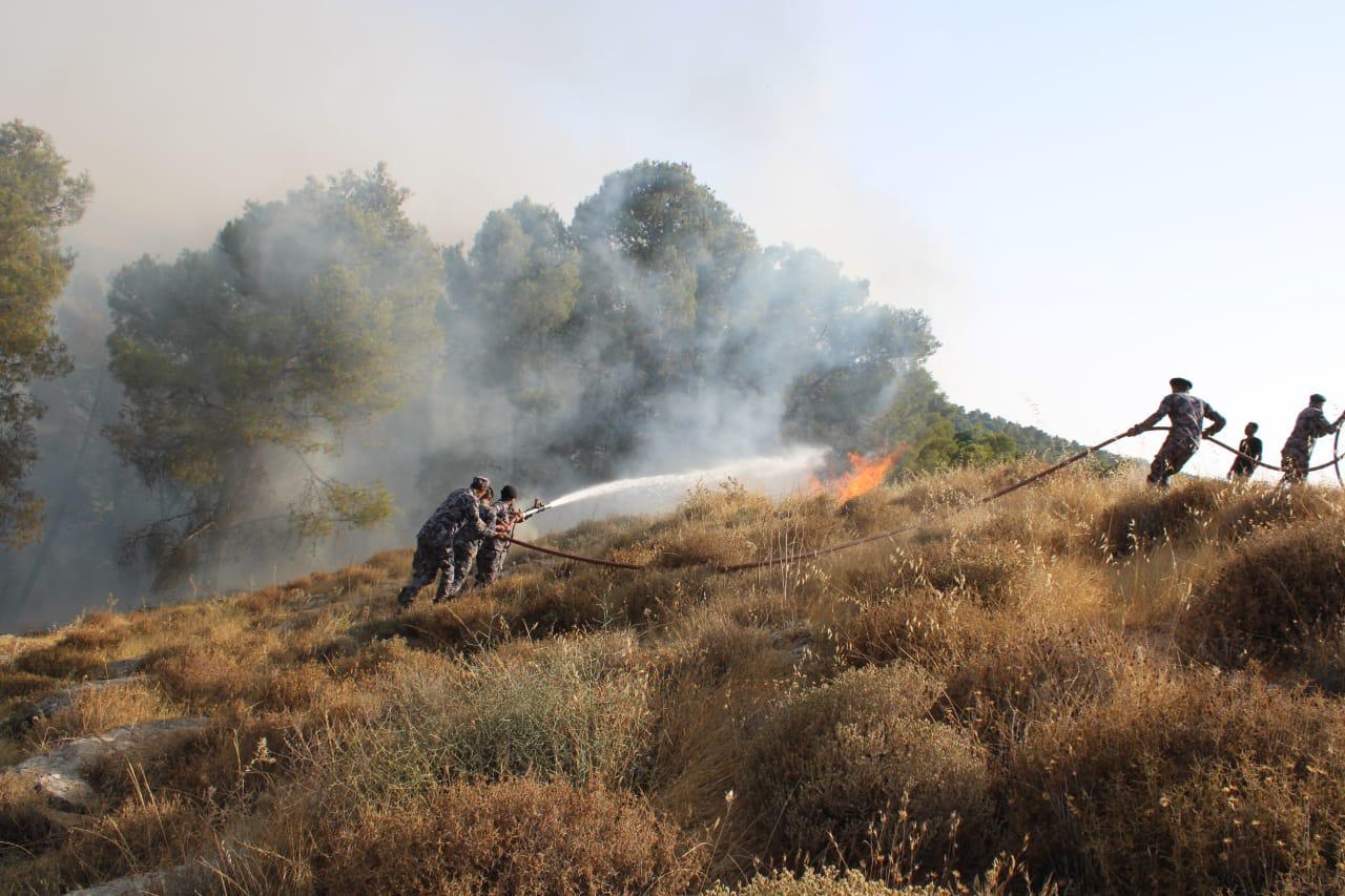 الدفاع المدني لا زال يتعامل مع حريق مناطق حرجية في حسبان .. فيديو وصور