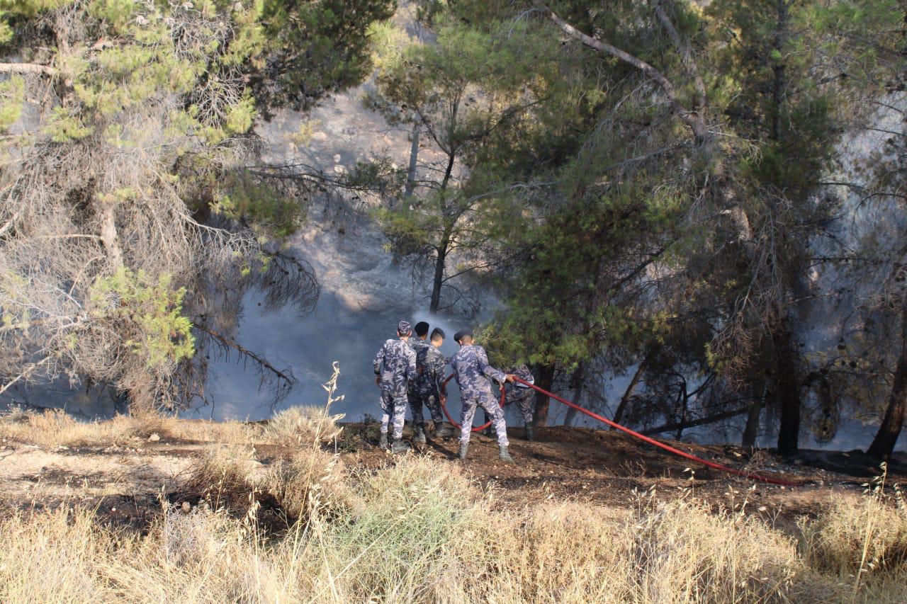 الدفاع المدني لا زال يتعامل مع حريق مناطق حرجية في حسبان .. فيديو وصور
