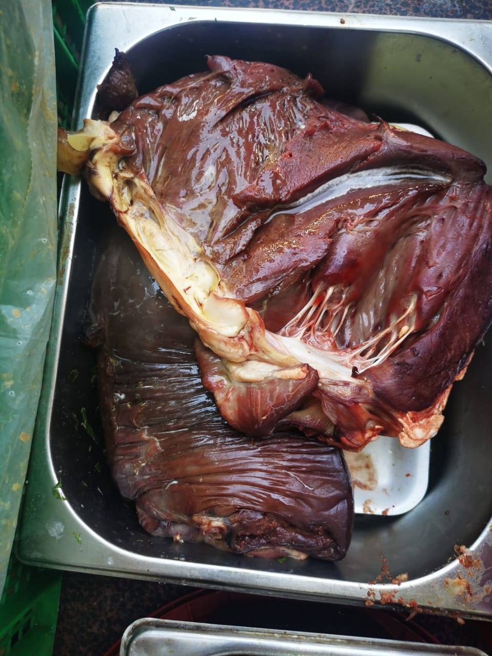 أغلاق مطعم شاورما ومحل مجمدات في سحاب 