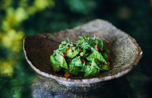 مطعم كويا دبي يطلق قائمة طعام مبتكرة للنباتيين ويقدم خيارات جديدة مناسبة للعائلات كل يوم سبت