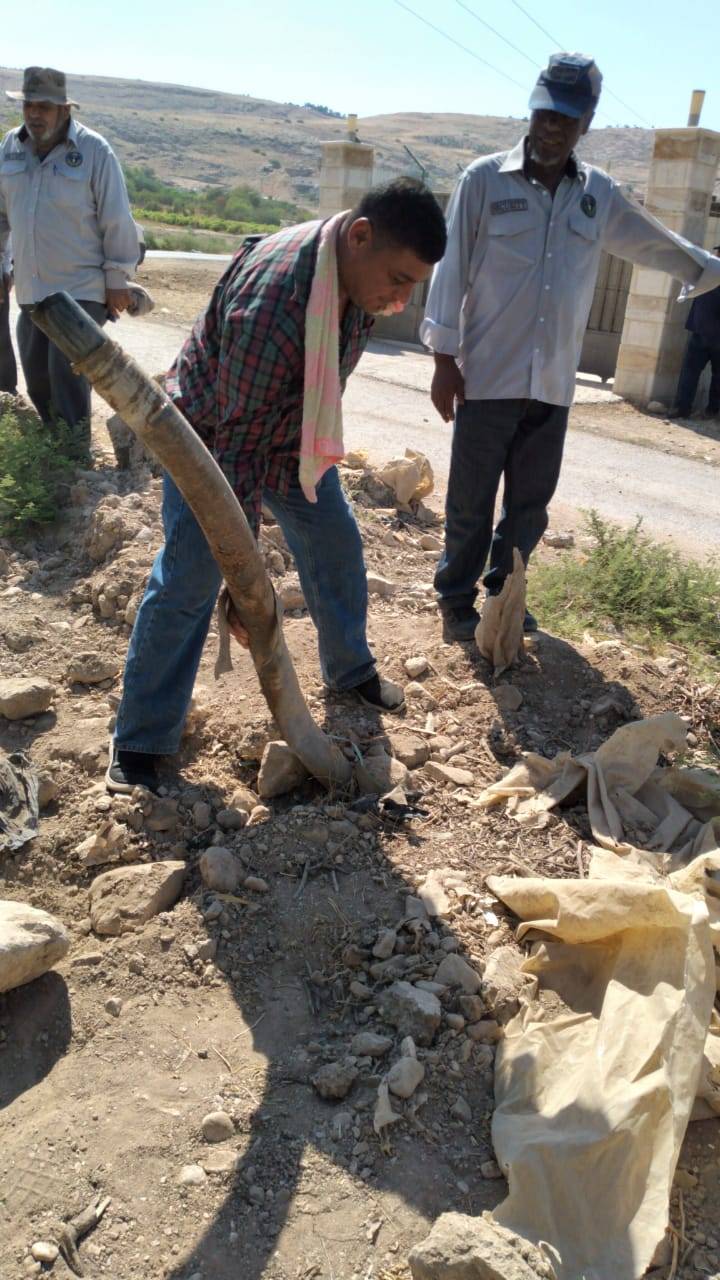 سلطة وادي الاردن :حملة في الاغوار تضبط اكثر من (20) اعتداء كبير على مياه قناة الملك عبدالله