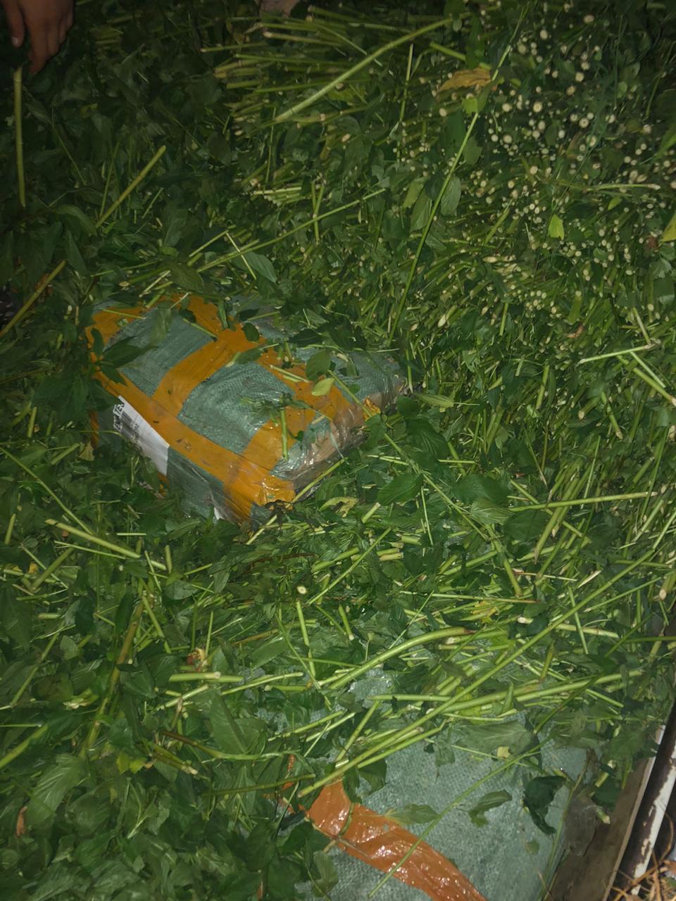 الجمارك الأردنية تحبط تهريب ديانا محملة باكسسورات اجهزة خلوية