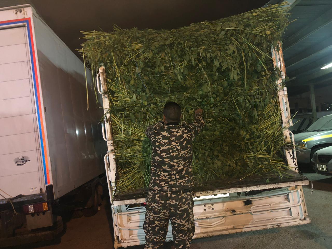 الجمارك الأردنية تحبط تهريب ديانا محملة باكسسورات اجهزة خلوية