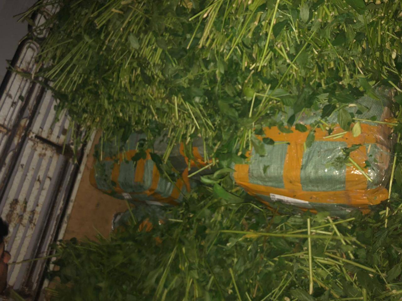 الجمارك الأردنية تحبط تهريب ديانا محملة باكسسورات اجهزة خلوية