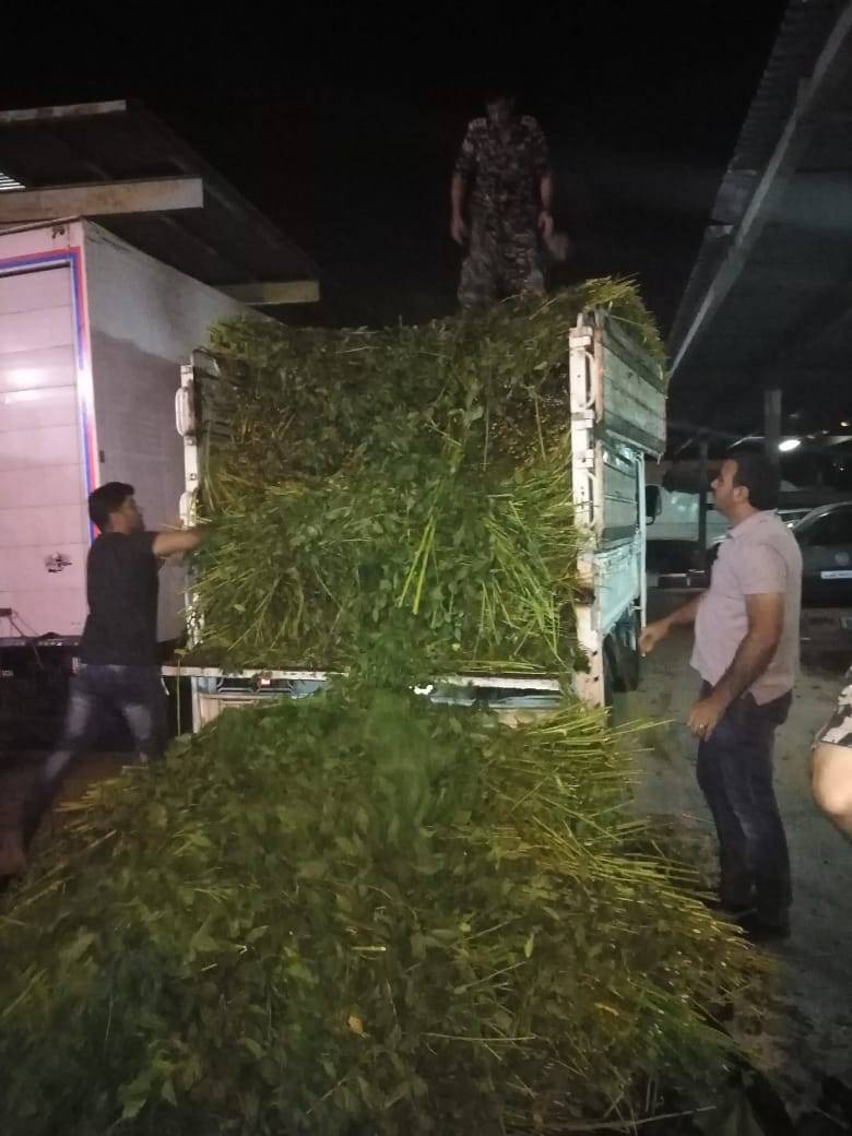 الجمارك الأردنية تحبط تهريب ديانا محملة باكسسورات اجهزة خلوية