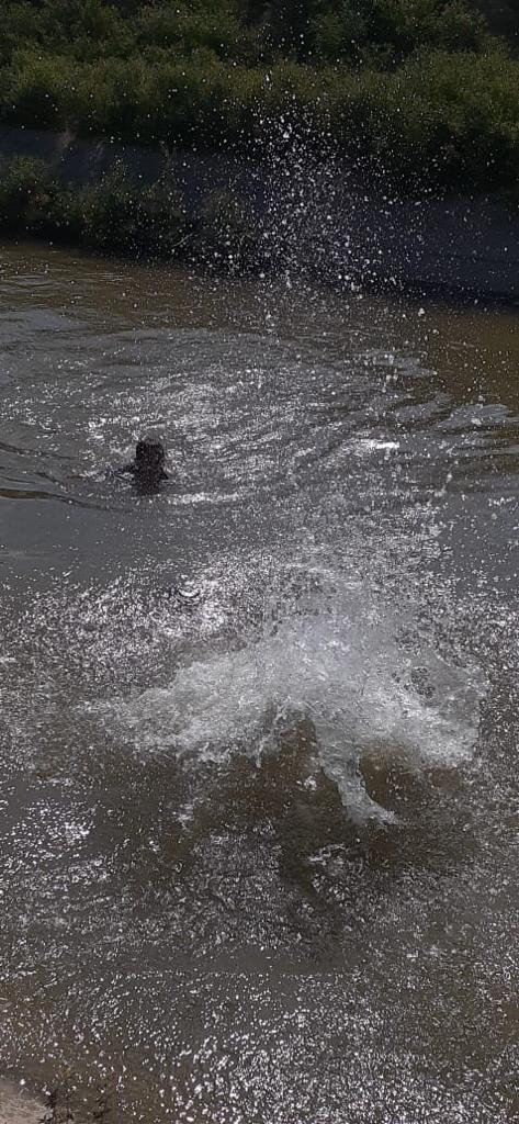 إنقاذ طفلا من الغرق في قناة الملك عبدالله بمنطقة المنشية 