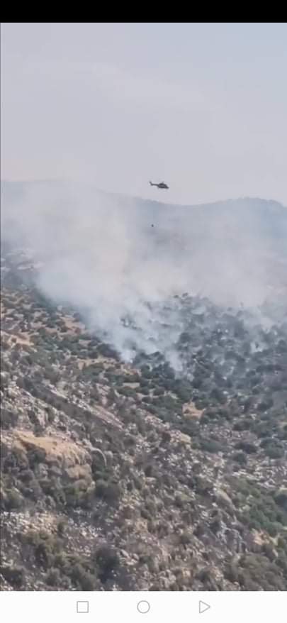 عجلون : طائرات سلاح الجو الملكي تشارك في اخماد حريق نشب في منطقة دبين وعرجان .. فيديو