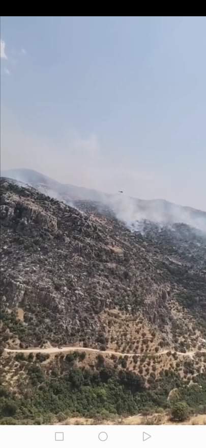 عجلون : طائرات سلاح الجو الملكي تشارك في اخماد حريق نشب في منطقة دبين وعرجان .. فيديو