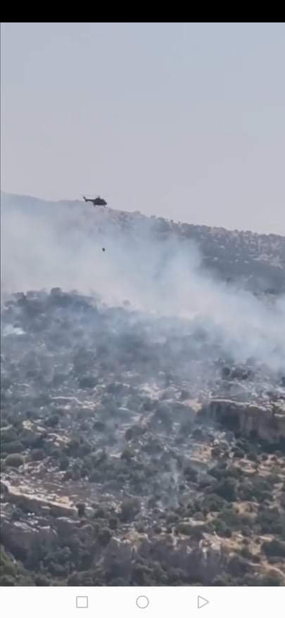 الدفاع المدني يتعامل مع حريق مساحات واسعه من الأعشاب الجافه والأشجار الحرجية في محافظة عجلون