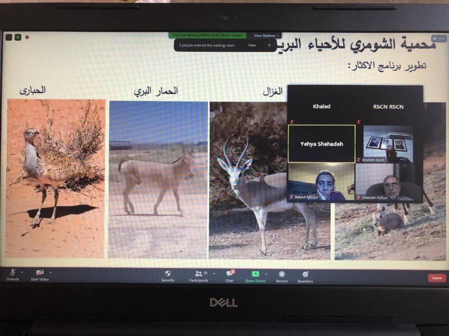 الهيئة العامة للجمعية الملكية لحماية الطبيعة تقر التقريرين المالي والإداري