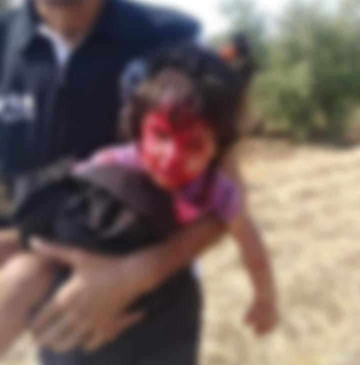 الكلاب الضالة تنهش جسد سيده وثلاثه اطفال في بلدة طيبة بمحافظة إربد