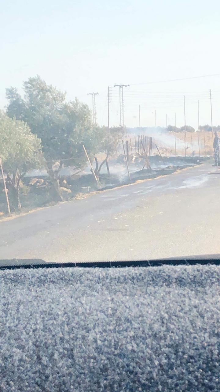 الدفاع المدني يتعامل الآن مع حريق بمزرعة زيتون على طريق الـ 60 في محافظة مادبا
