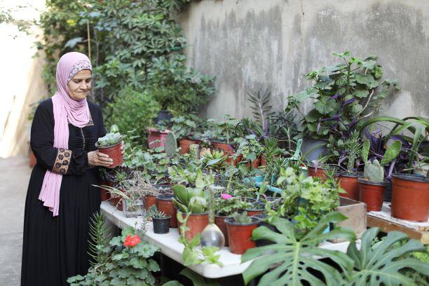 زراعة الأشتال تُثمر مالًا على حياة أردنية وأسرتها