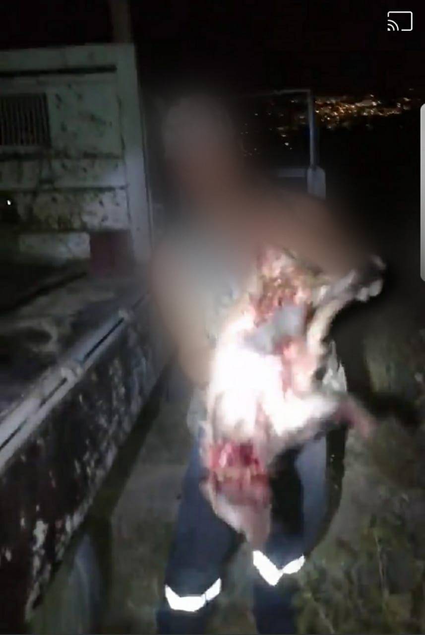 حماية الطبيعة تثمن جهود الادارة الملكية لحماية البيئة والسياحة بمتابعة مخالفات الصيد المنشورة الكترونياً 