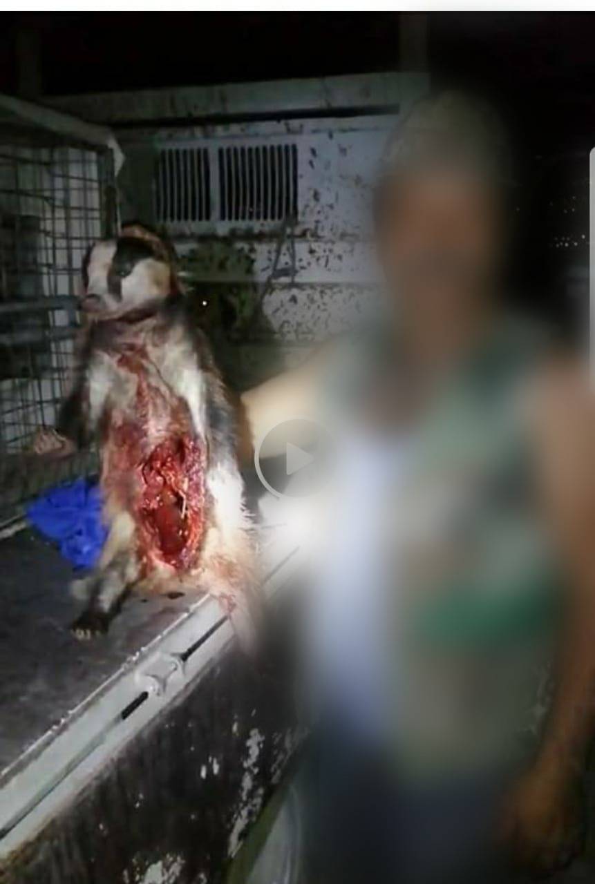 حماية الطبيعة تثمن جهود الادارة الملكية لحماية البيئة والسياحة بمتابعة مخالفات الصيد المنشورة الكترونياً 