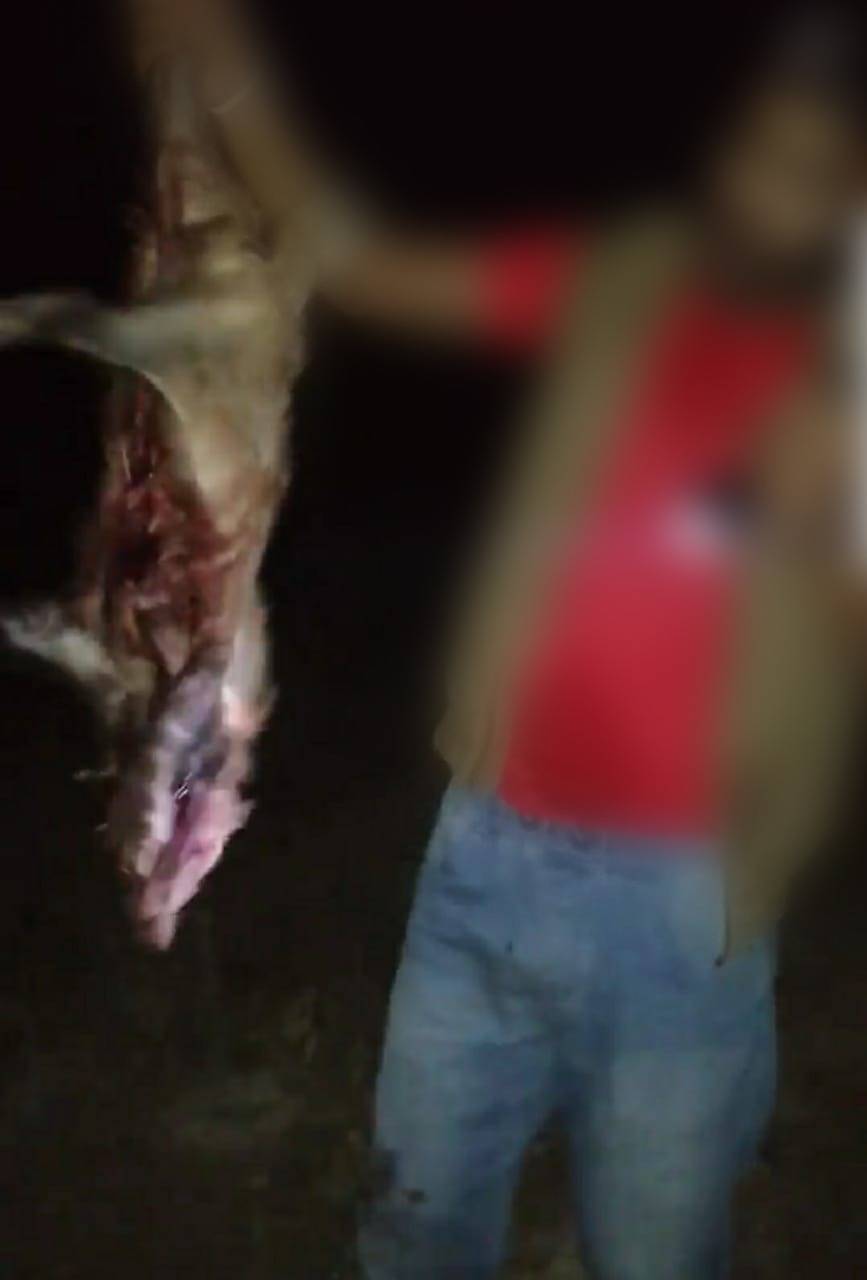 حماية الطبيعة تثمن جهود الادارة الملكية لحماية البيئة والسياحة بمتابعة مخالفات الصيد المنشورة الكترونياً 