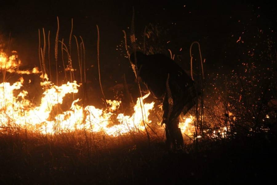 الدفاع المدني يخمد عدد من حرائق الاعشاب الجافة والأشجار الحرجية والمثمرة في محافظة اربد