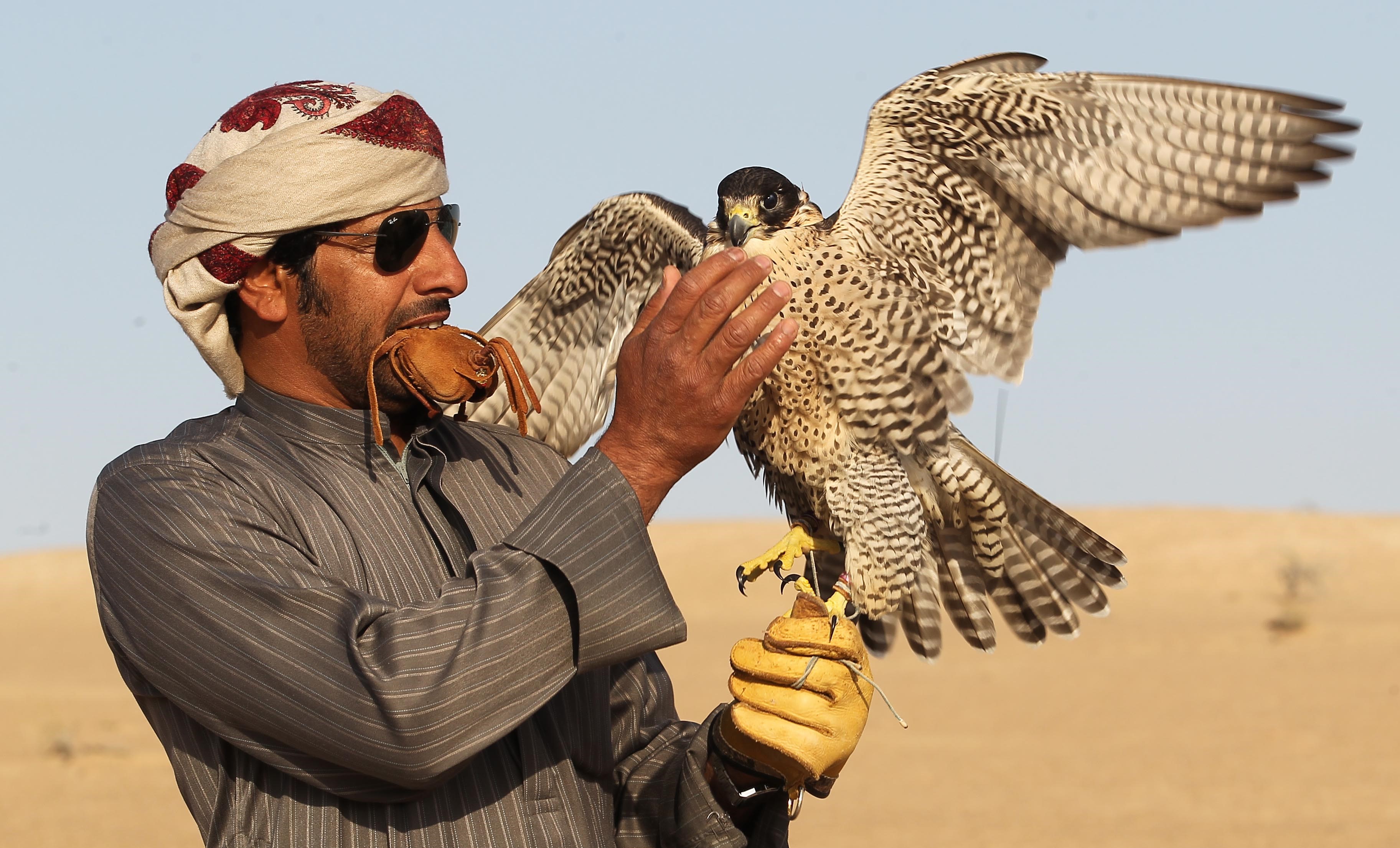 محمية المرزوم للصيد تفتح أبوابها أمام الصقارين وهواة الصيد التقليدي في الأول من نوفمبر المقبل