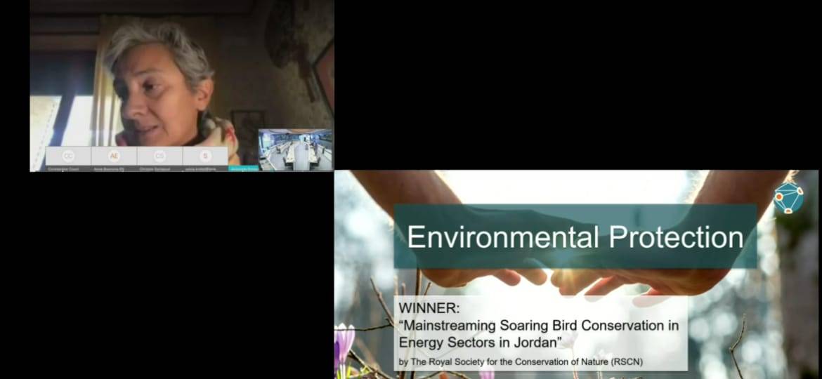 حماية الطبيعة تحصد جائزة عالمية من خلال مشروع الطيور الحوامة المهاجرة