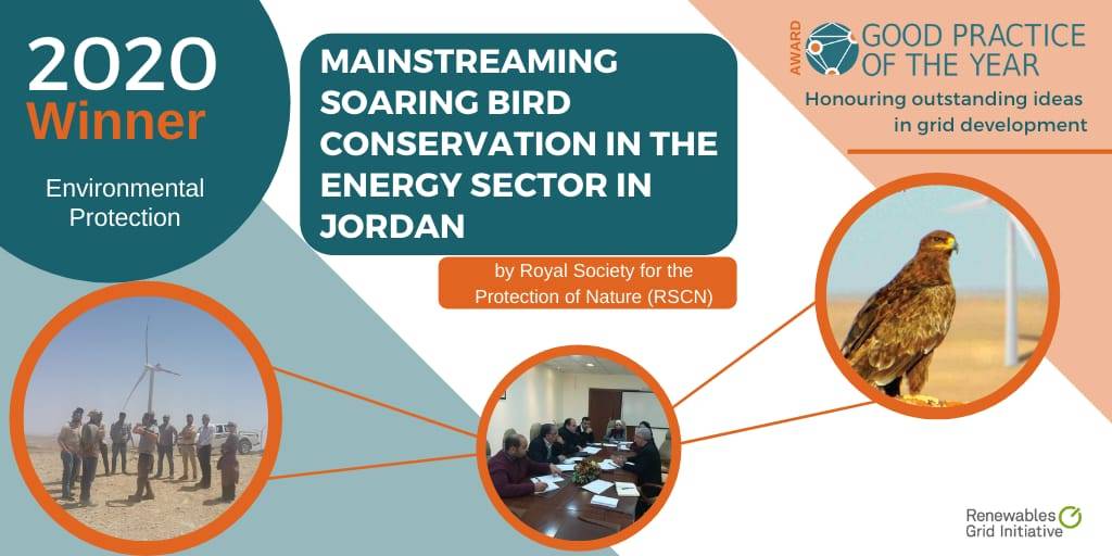 حماية الطبيعة تحصد جائزة عالمية من خلال مشروع الطيور الحوامة المهاجرة