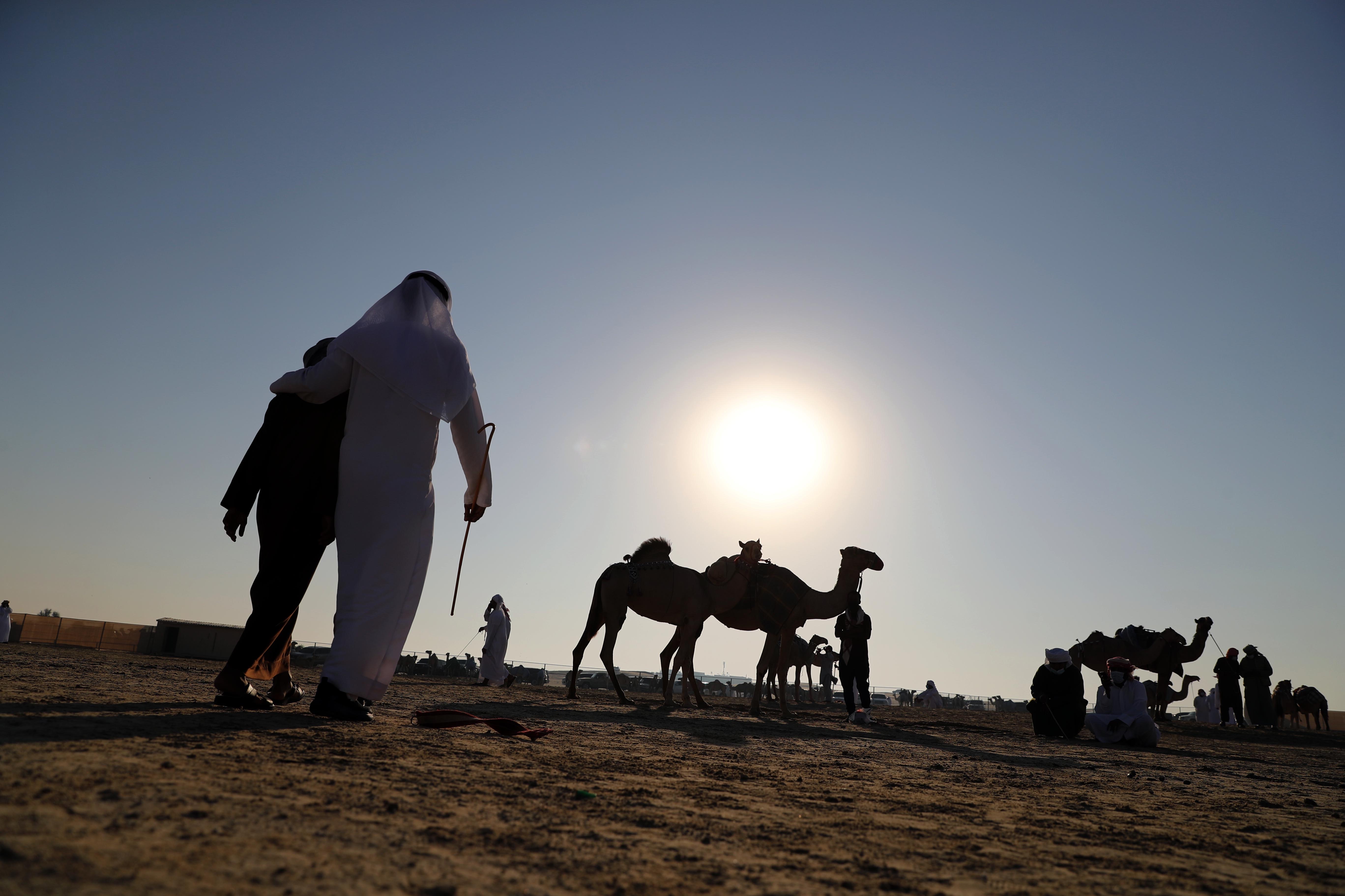 مهرجان الظفرة 14 يعلن نتائج أشواط المفاريد - محليات في مزاينة الإبل 