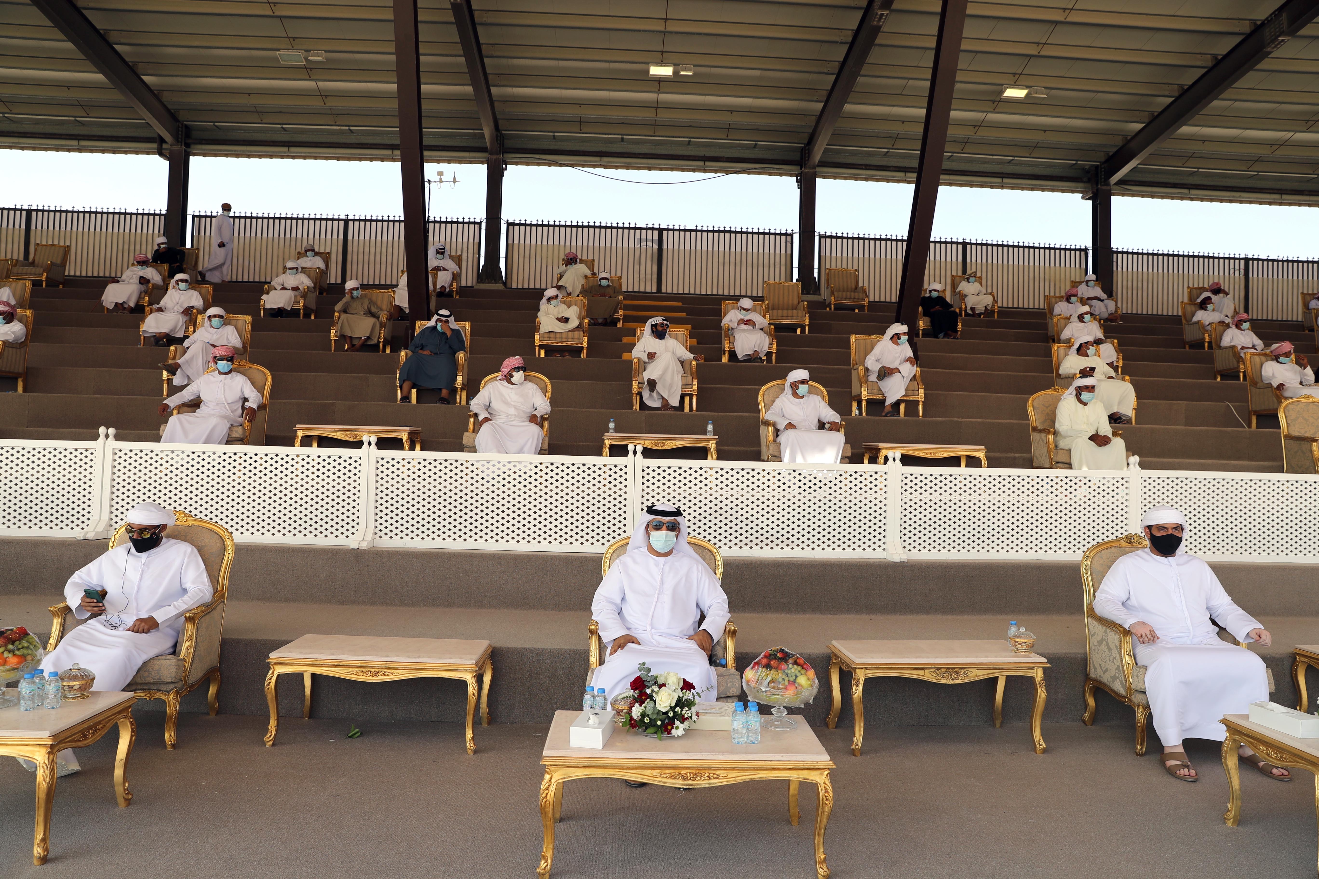 مهرجان الظفرة 14 يعلن نتائج أشواط المفاريد - محليات في مزاينة الإبل 