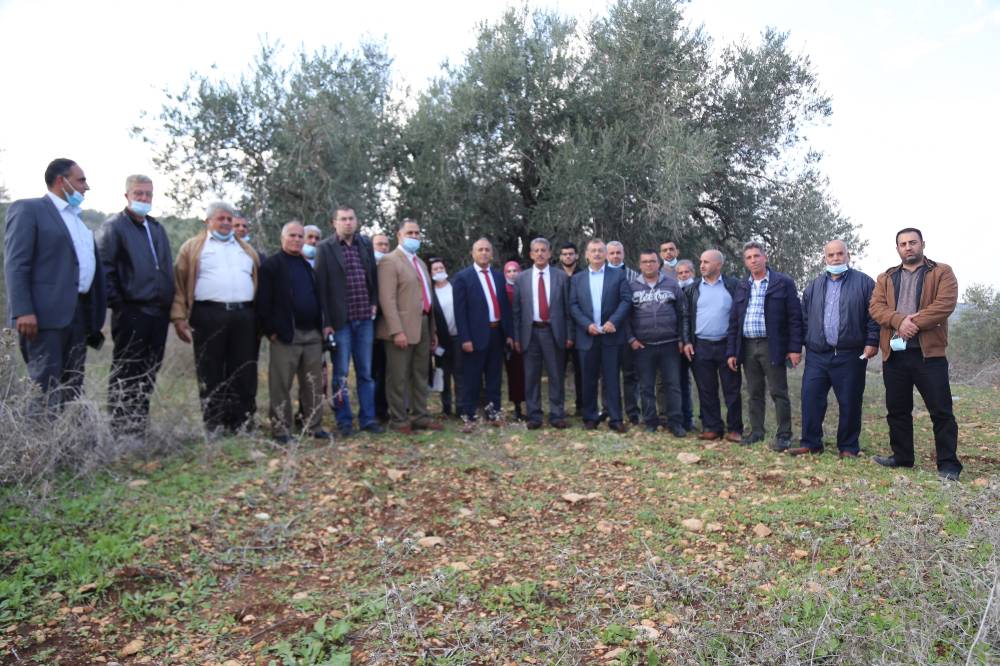 فلسطين .. المطور يؤكد على أهمية الحفاظ على التنوع الحيوي في  حقول أشجار الزيتون المعمرة في مسلية جنين