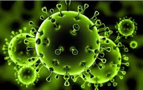 الموجز الإعلامي : تسجيل (4029) حالات إصابة بفيروس كورونا المستجدّ