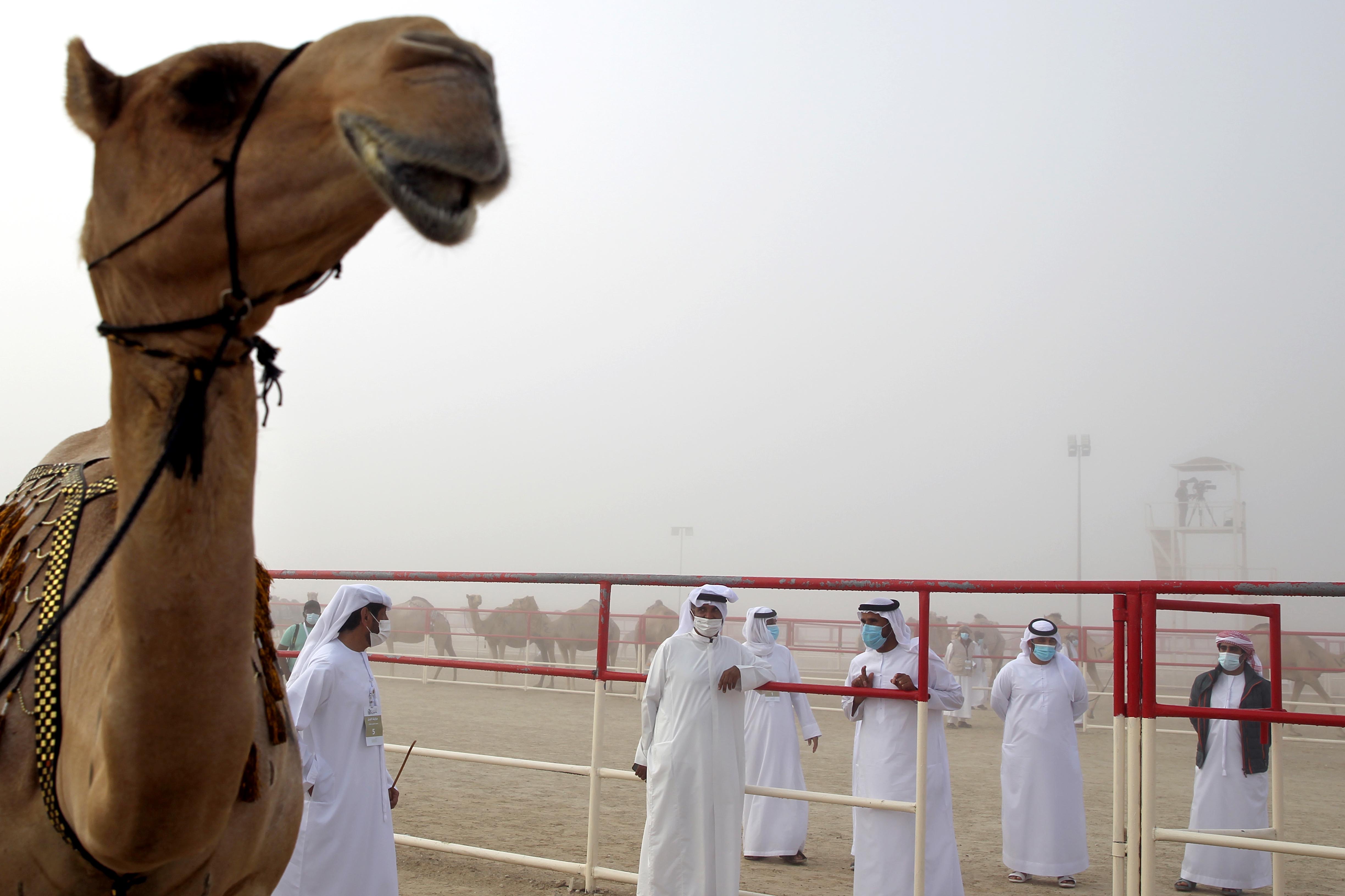 معالي اللواء فارس المزروعي يتابع مسابقات المهرجان بأسبوعه الخامس