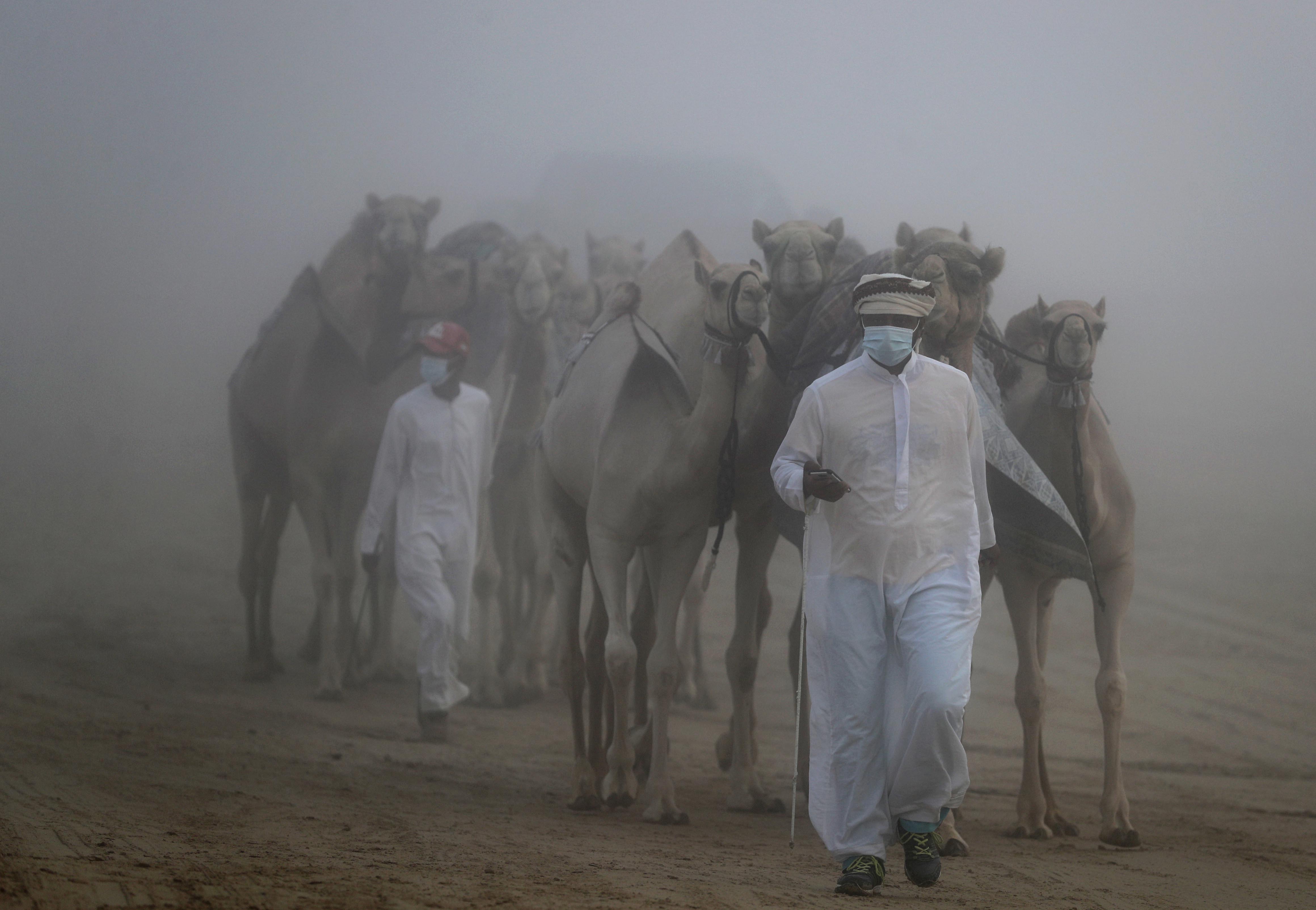 إعلان نتائج مزاينة انتاج العزبة لأبناء القبائل 3 مفاريد تلاد محليات بمهرجان الظفرة