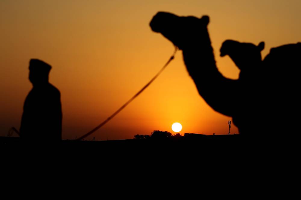 الامارات : معالي اللواء فارس المزروعي يتفقد موقع المزاينة ويلتقي لجان التحكيم والفحص الطبي والفرز