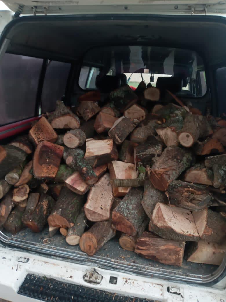 إلقاء القبض على اربعة اشخاص قاموا بالتحطيب الجائر في محافظة اربد