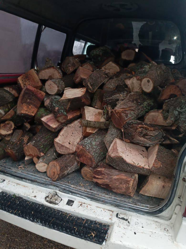 إلقاء القبض على اربعة اشخاص قاموا بالتحطيب الجائر في محافظة اربد 