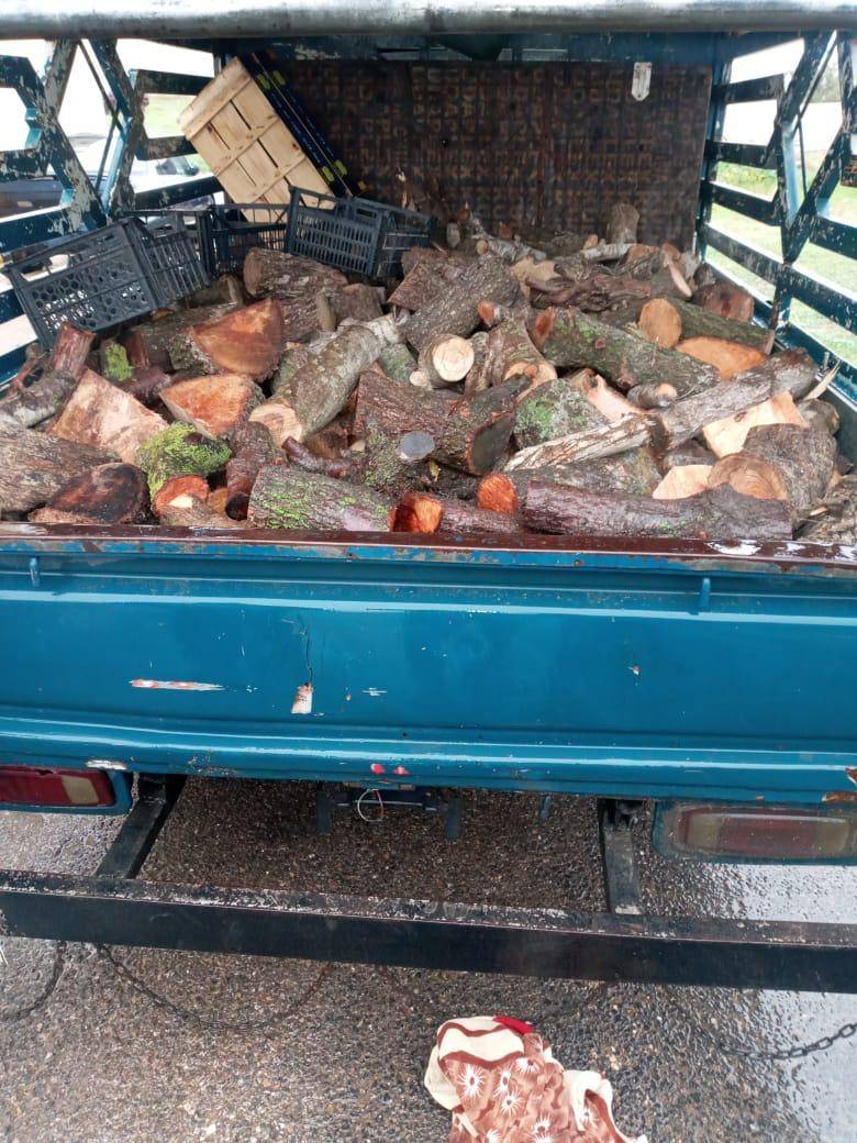 إلقاء القبض على اربعة اشخاص قاموا بالتحطيب الجائر في محافظة اربد 