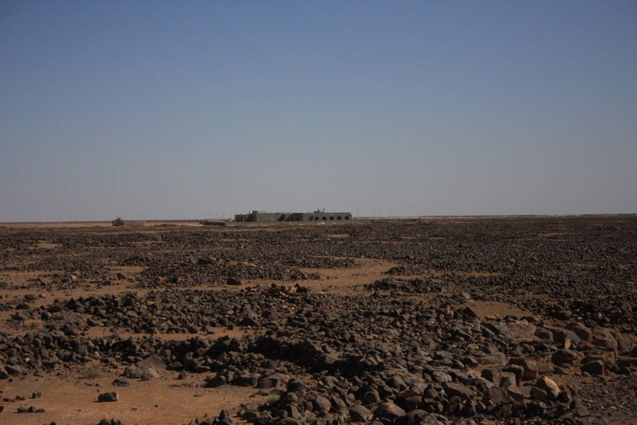 نمط فريد وسط الصحراء الشرقية  الملكية لحماية الطبيعة تعلن تأسيس محمية برقع