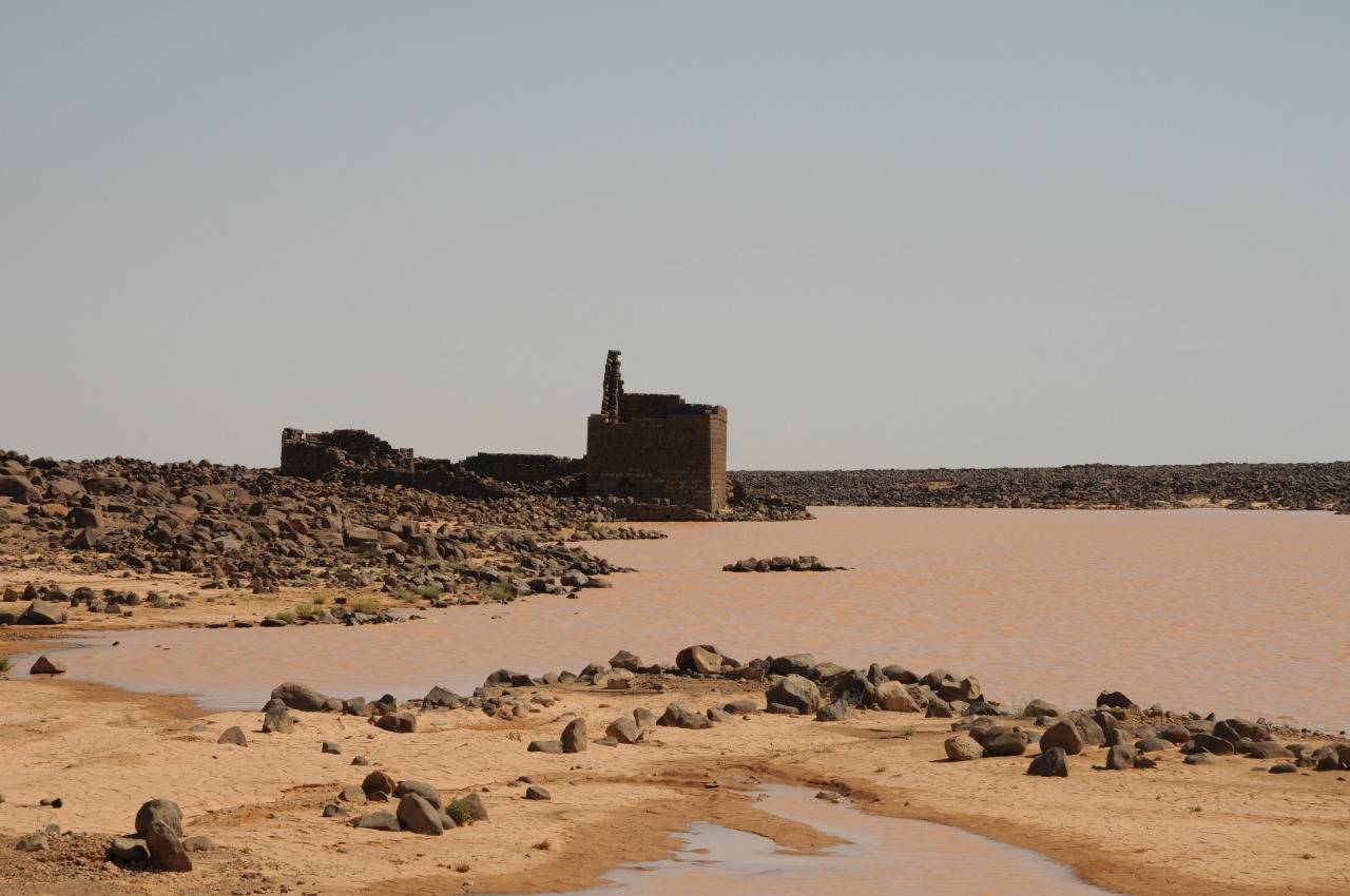 نمط فريد وسط الصحراء الشرقية  الملكية لحماية الطبيعة تعلن تأسيس محمية برقع