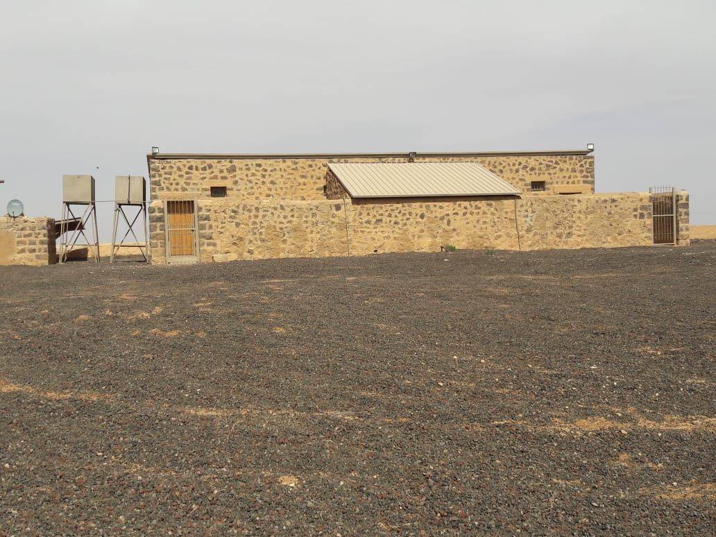 نمط فريد وسط الصحراء الشرقية  الملكية لحماية الطبيعة تعلن تأسيس محمية برقع