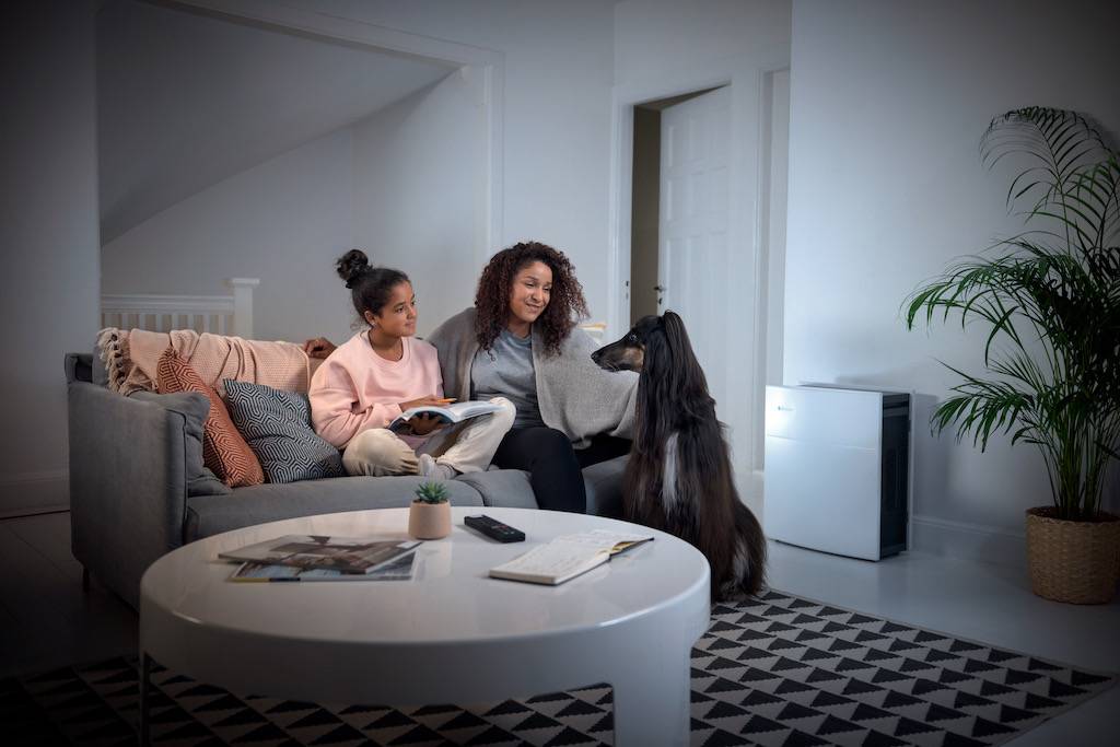 هدايا مثالية لمنزل صحي ونظيف في موسم الأعياد من بلو إير