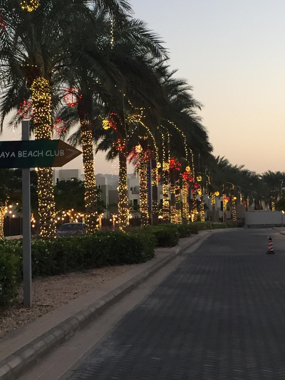 سرايا العقبة تحتفل بإضاءة شجرة عيد الميلاد