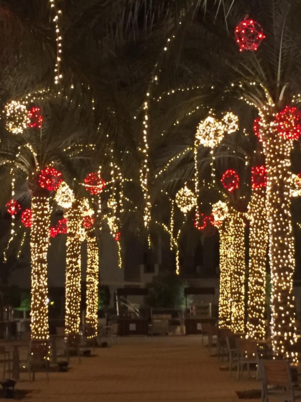 سرايا العقبة تحتفل بإضاءة شجرة عيد الميلاد