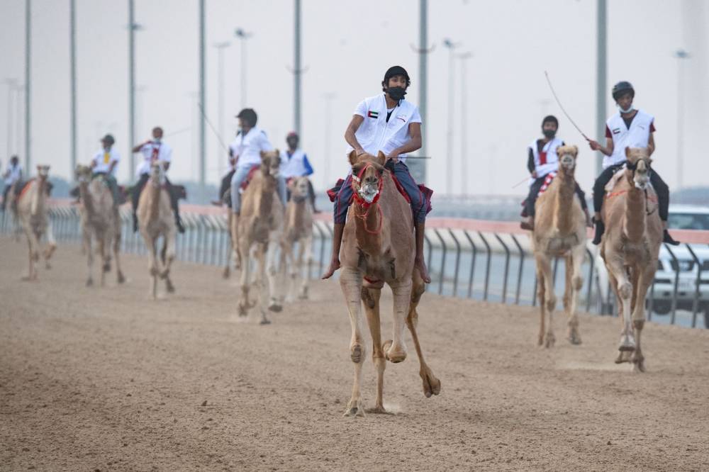 الشامسي والكتبي يحصدان التفوق في السباق التمهيدي الثاني  لماراثون اليوم الوطني للهجن