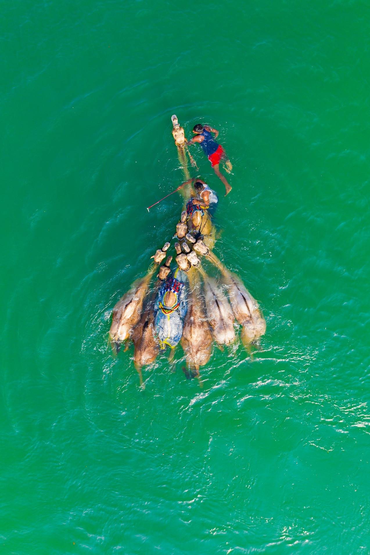 دو تعلن عن أسماء أول الفائزين بمسابقة أجمل شتاء في العالم لالتقاط أجمل معالم الإمارات